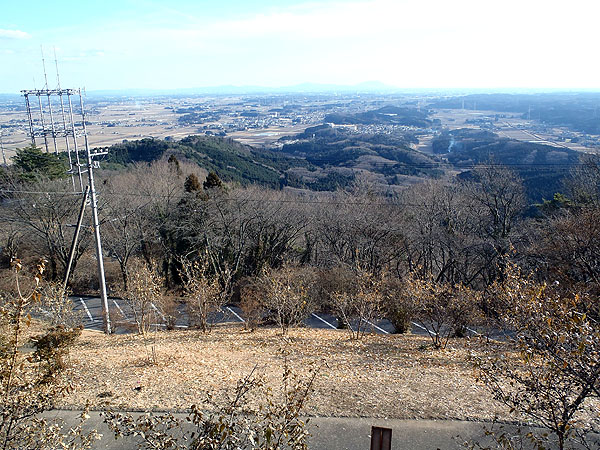 展望台からの景色